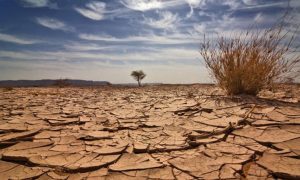 Dünyayı Kurtarmak İstiyorsak Önümüzde 10 Yıl Var!