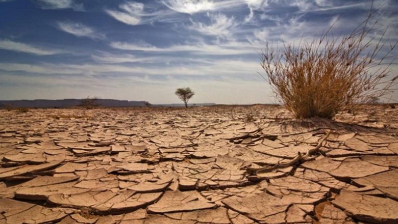  Dünyayı Kurtarmak İstiyorsak Önümüzde 10 Yıl Var!