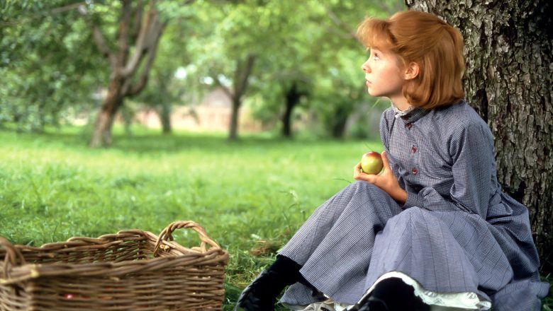  Senden Kız Anası mı Erkek Anası mı Olur? [Test]